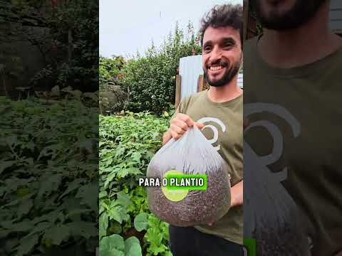 https://youtube.com/shorts/PplL1XeZ1DI