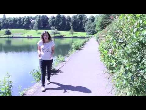 Hemmings My Research Story