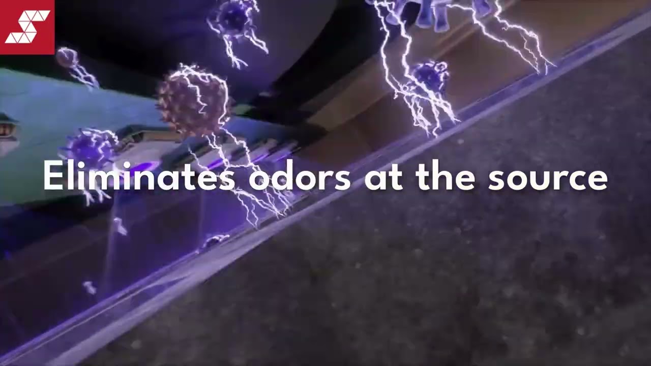 You Have Cats and Your House Smells Good Video Thumbnail