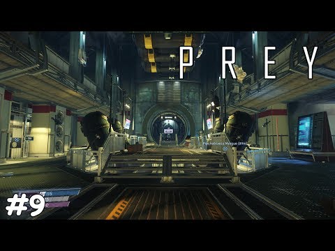 ELEVATOR REPAIR | PREY #9