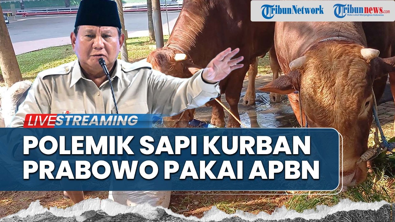 PDIP Sindir Prabowo Beli 1.098 Sapi Kurban Pakai APBN, MUI Sebut Tak Masalah Asal atas Nama Negara
