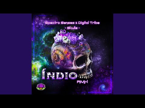 Spectro Senses & Digital Tribe: Skulls