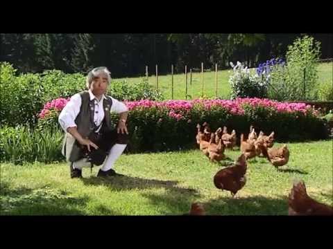 Takeo Ischi / Ishii / 石井健雄 - New Bibi Hendl (Chicken Yodeling) Original
