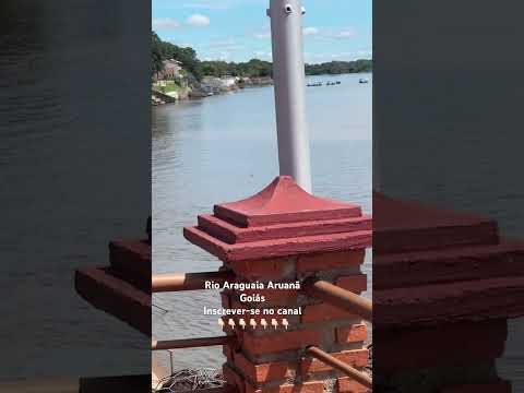 Rio Araguaia Aruanã Goiás #pescaria #youtubeshorts #tambaqui #shorts