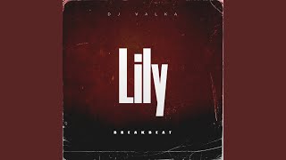 Download lagu Lily Breakbeat mp3