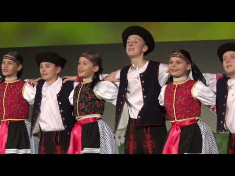 Spid Kyčery - DFS ŠARIŠANČEK