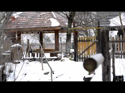 Cabana Frasini 2014.