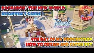 Ragnarok The New World | Beginner's Guide | Day 4 How to Obtain and Catch Pet #ragnarokthenewworld
