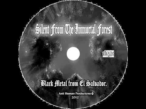Darlament Norvadian - Shadow's In Eternal Tormentor (SINGLE 2012)