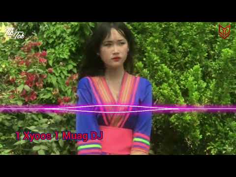1 Xyoos 1 muag DJ Remix - Yang Nou 2024
