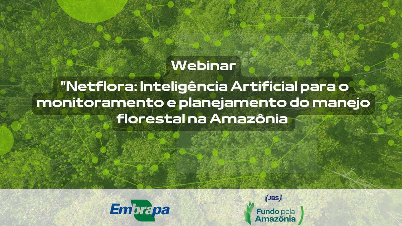 Netflora: IA para o monitoramento e planejamento do manejo florestal na Amazônia