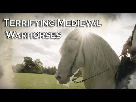 , title : 'Warhorses: How did a medieval knight and his horse work as a team on the battlefield?'