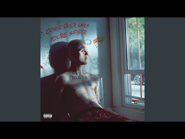 Lil Peep - IDGAF (Acapella)