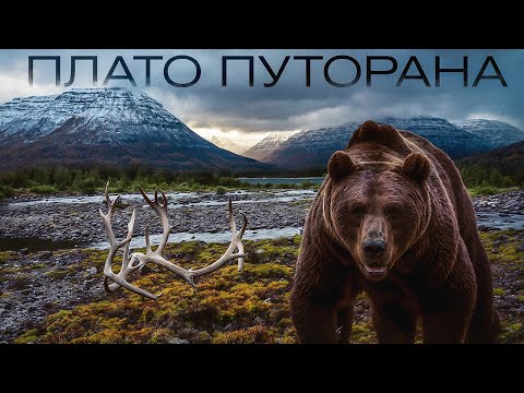  
            
            Незабываемое путешествие на плато Путорана: преодоление, рыбалка и неповторимая красота российской природы

            
        