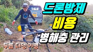 드론으로 병충해관리 4000평두릅농장  더뎅이병 드론방제