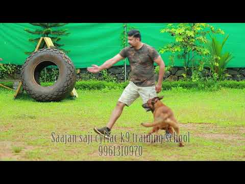 Attack training practice to different direction in different people