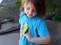 Flutterby ----Butterfly 