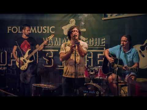 Dan Vasilescu - Trece vara