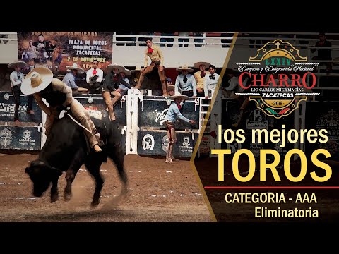THE BEST BULLS - Triple AAA Category - Elimination Part 1 - Zacatecas Congress 2018