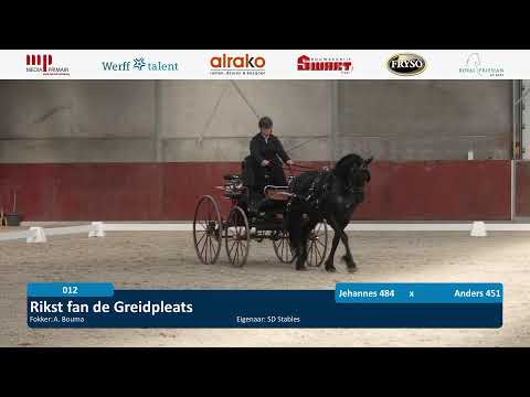 Ibop | Someren | 12 april 2025