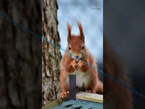 Discover how mindfulness and creativity can impact your work in under 45 seconds.