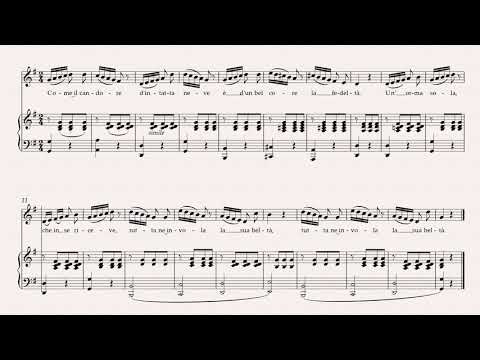 Vaccai - Practical Method - for Soprano, Tenor - 10 Lesson VII - Runs and Scale Passages