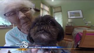 Hospice Center uses therapy dogs to help cheer up patients