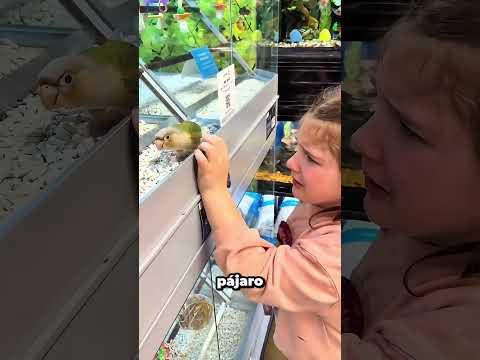 Su mascota perdida apareció en el lugar más insólito #emotional #reunion