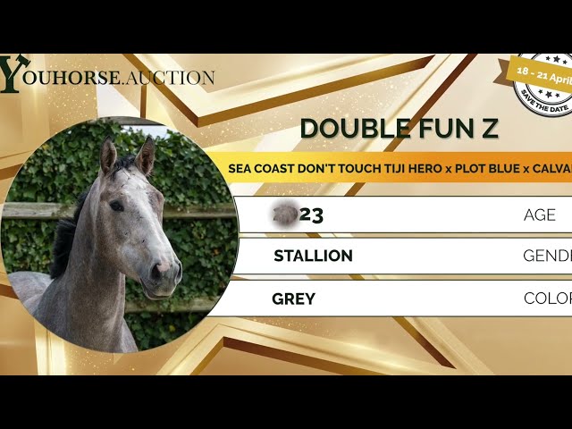Double Fun Z