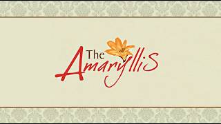 Видео of The Amaryllis