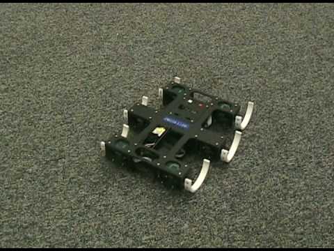 Larger than Life edubot