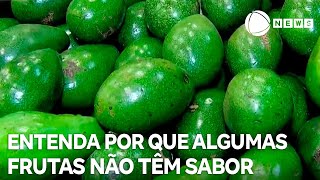 Miniatura do vídeo