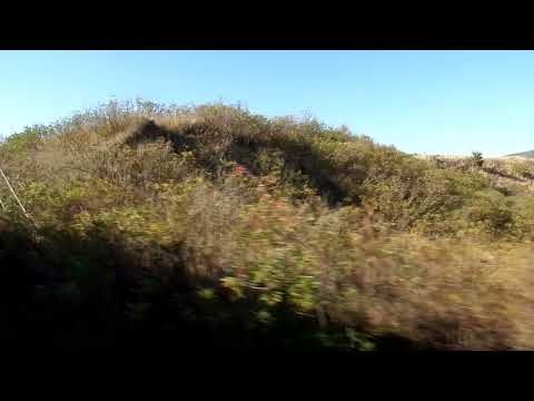 IR 407  "Corona"  zwischen Malnaș und Arcuș am 24. September 2024