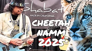 Video thumbnail for Perfecto's Picks: ROARING CHEETAH DEBUT at Shabat Guitars NAMM 2025! by Perfecto De Castro