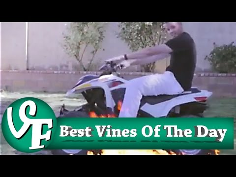 Best Vines Of The Day | July the 8th 2016