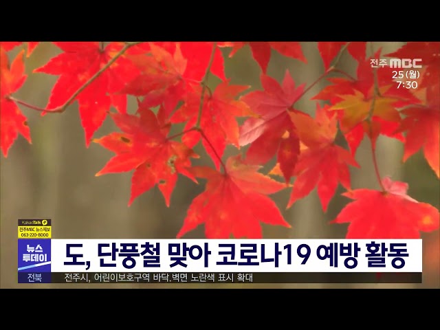 도, 단풍철 맞아 코로나19 예방 활동