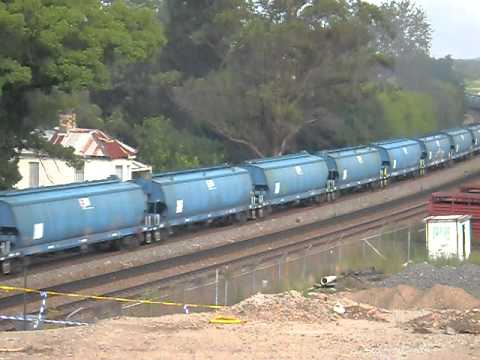 El Zorro G521/S302/S300/T387 East Maitland 16-1-11