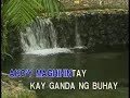 Ating Pangarap Video Karaoke Able