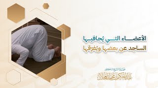 الأعضاء التي يُجافيها الساجد عن بعضها ويُفرّقها | د. عبد الحكيم العجلان  image