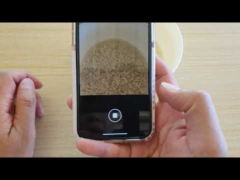 How to Take a Photo With Camera Timer on iPhone 11 Pro | IOS 13