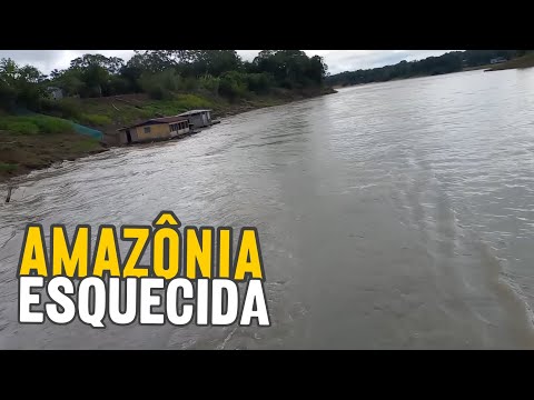 DESCUBRA COMO É VIAJAR DE BARCO NO AMAZONAS durante a vazante dos Rios / Tefé a Maraã 