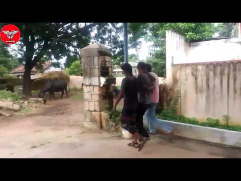 SVP Comedy videos #5