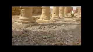 preview picture of video 'Palmyre : Rapport sur les dégâts du Temple de Baal تدمر : تقرير عن الأضرار التي تعرض لها معبد بل'