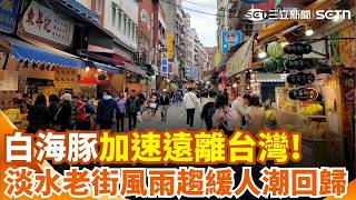 白海豚颱風遠離！淡水風雨趨緩爆人潮 店家排隊畫面曝 網提醒：小心開花｜三立新聞網 SETN.com