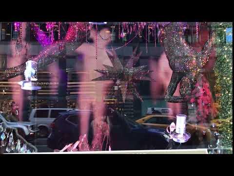 Bloomingdale's NYC Holiday Windows 2017