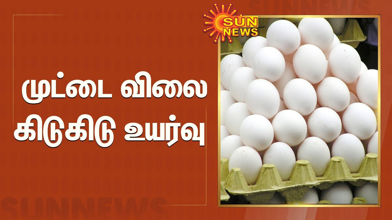 Watch video முட்டை விலை கிடுகிடு உயர்வு | Egg Rate | Egg prices soared | namakkal Now முட்டை விலை கிடுகிடு உயர்வு | Egg Rate | Egg prices soared | namakkal