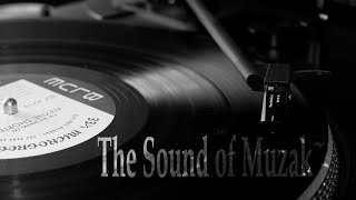The Sound of Muzak - Porcupine Tree || Lyrics