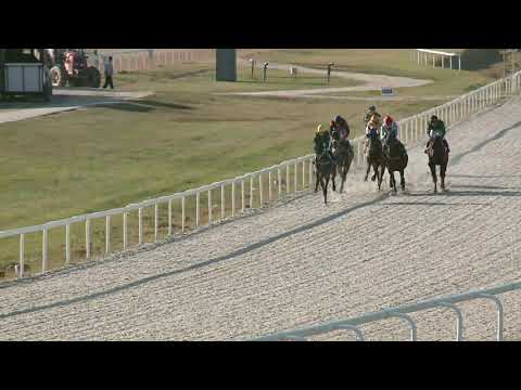 2021.10.17. 06. futam - NYERETLENEK VERSENYE (V.kat.) (szintetikus pálya)