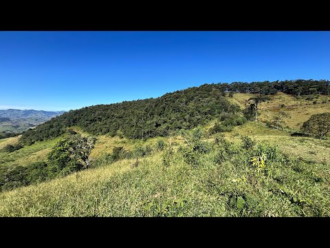 Área 20.000 m2- Altitude e Nascente-Cambuí- Senador Amaral- R$ 290.000,00- Escritura Registrada 