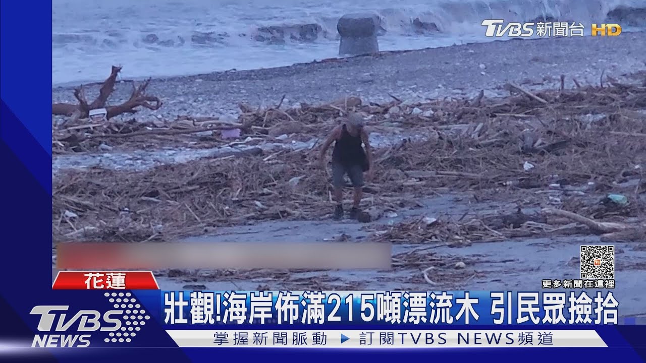 壯觀!海岸佈滿215噸漂流木 引民眾撿拾